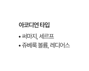 써마지, 세르프, 쥬베룩 볼륨, 레디어스